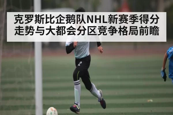 克罗斯比企鹅队NHL新赛季得分走势与大都会分区竞争格局前瞻